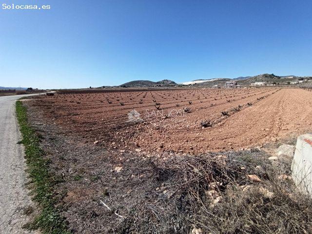 SE VENDE PARCELA RÚSTICA DE REGADÍO