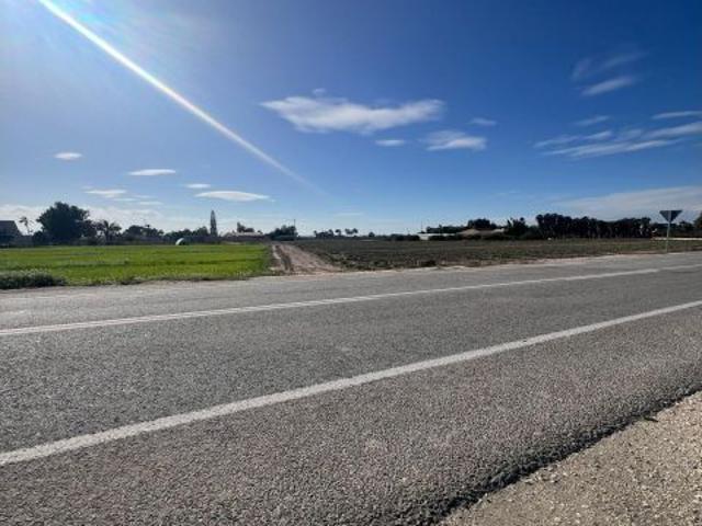 ? Se vende parcela rústica en Elche – Partida de Pusol ?