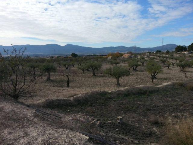 SE VENDE PARCELA RÚSTICA EN IBI ALICANTE