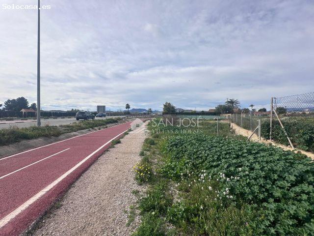 SE VENDE PARCELA RÚSTICA EN NOVELDA, ZONA CAMPET