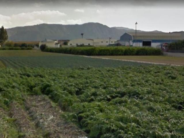 SE VENDE PARCELA RUSTICA JUNTO VEREDA MERANCHO, MONTEAGUDO