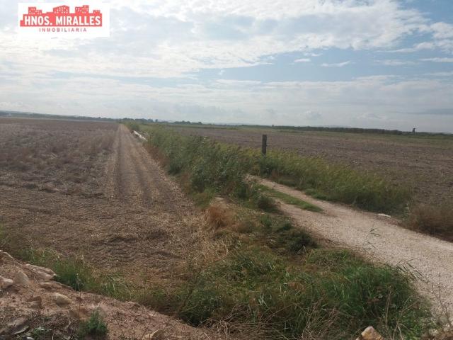 SE VENDE PARCELA RUSTICA PARA CULTIVO