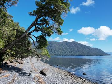 Se vende Parcela 2 ha. Costa Huemules. Aysen