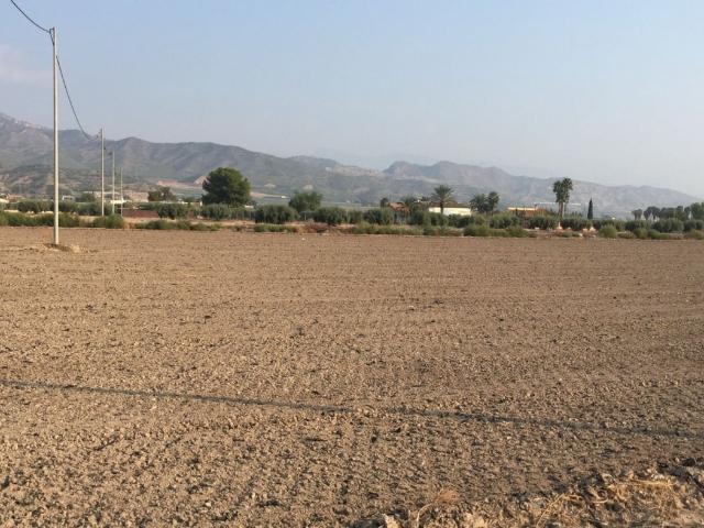 SE VENDE PARCELA 5000 mt2 URBANA EN LA HOYA LORCA CON LUZ