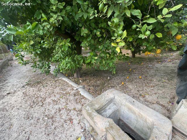 Se vende parcelica de huerto, plantado de limoneros en LLano de Brujas