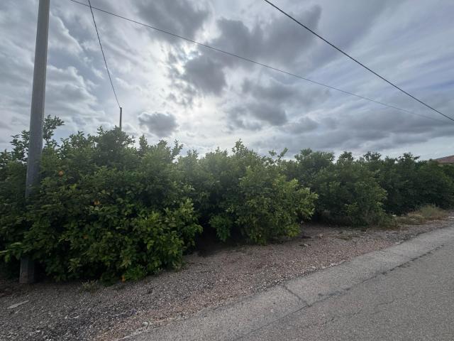 Se vende parcelica de huerto, plantado de limoneros en LLano de Brujas