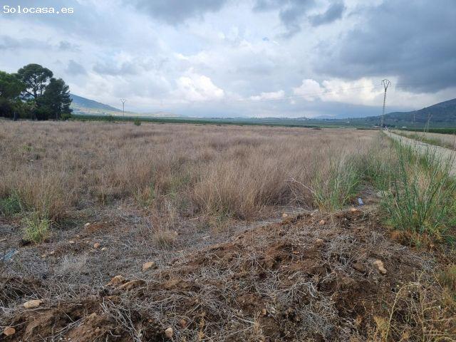 SE VENDE PARECELA MUY BUENA UBICACIÓN EN LA ZONA DE HONDÓN MONOVAR ALICANTE