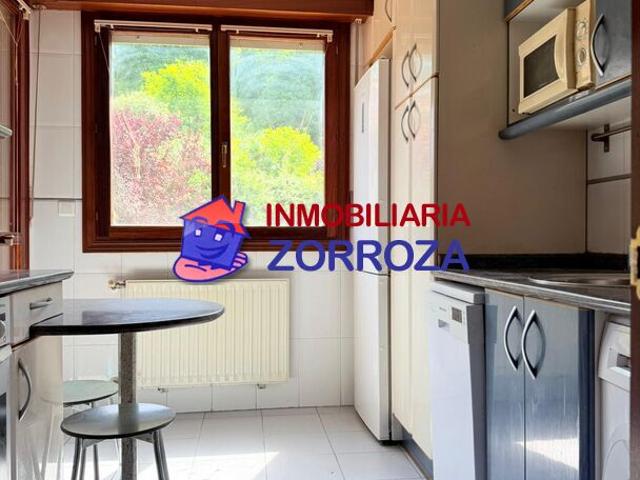 SE VENDE PISO EN CARRETERA CASTREXANA ZORROZA