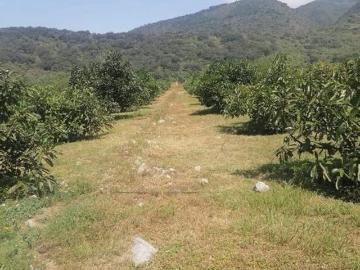 SE VENDE PROPIEDAD CAMPESTRE CON LAGO, SISTEMA DE AGUA Y CASA DE TRES NIVELES!