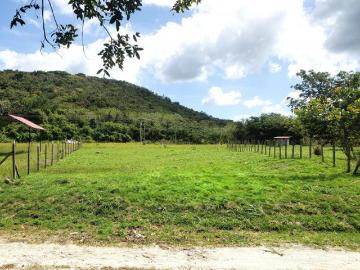 SE VENDE PRECIOSO TERRENO, A 25 MTS DE LA CARRETERA A LA PINTADA