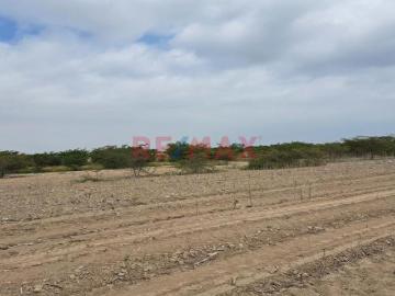 Se Vende Predio Rural “La Ponderosa” Distrito De “El Carmen”
