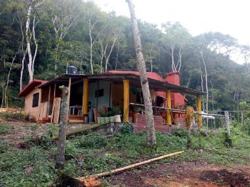 Se vende rancho de 50 hectáreas en cintalapa