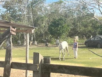 Rancho en carretera Panaba Yalsihon
