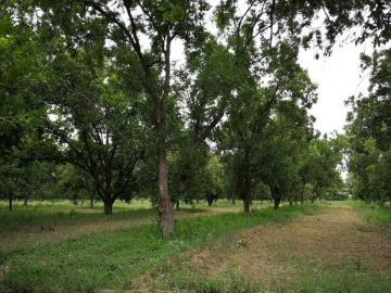 Se vende rancho en San Buenaventura