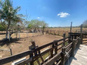Se vende rancho en tizimin yuc