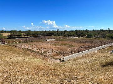 Se VENDE RANCHO JM fraccion del Quelele La Paz BCS
