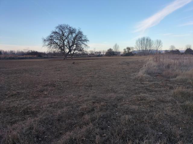 SE VENDE SUELO RUSTICO EN VILLAMURIEL DE CERRATO