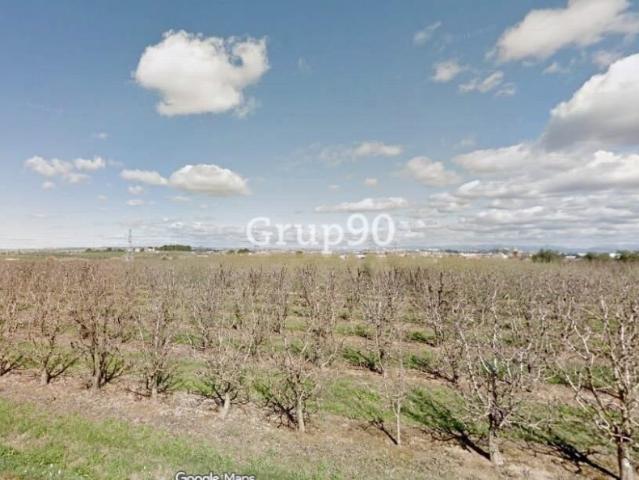 ? Se venden 3 fincas rústicas en Albatàrrec – 36.860 m2 posibilidad de venta por separado
