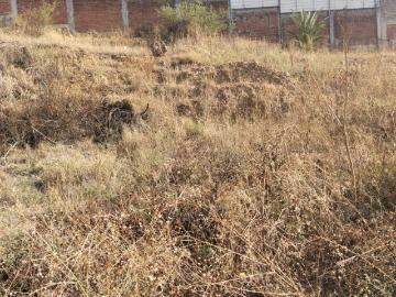 SE VENDEN 3 LOTES DE TERRENO EN LA COLONIA AURORA, OAXACA