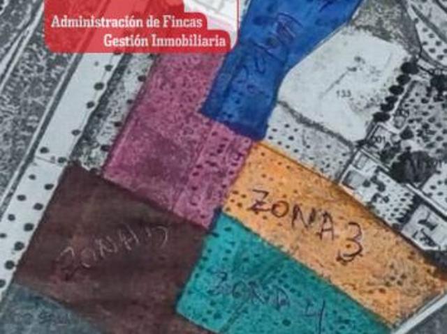 Se venden 3 parcelas de 10.000m2 cada una