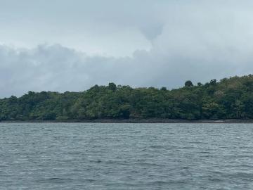 Se Venden 100 Hectáreas en Isla Gobernadora, Veraguas, Panamá Excelente Oportunidad de Inversión