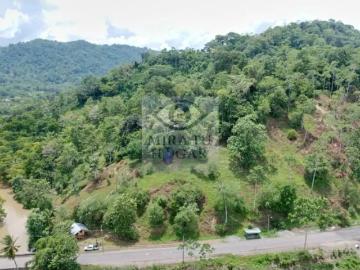 Se venden 20 hectáreas de terreno en río oeste, almirante