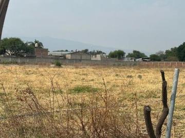 SE VENDEN 23443 MTS2 DE TERRENO EN COLONIA EL 4 TLAJOMULCO DE ZUÑIGA JALISCO