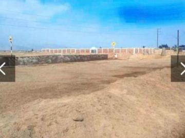 Se venden 28 hectáreas en Chincha ¡Excelente oportunidad!