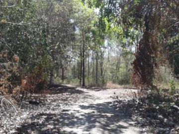 Se Venden 77 Hectáreas en la Mesa de San Martin