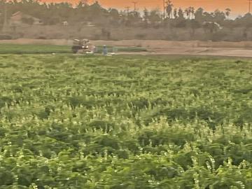 Se venden dos hectareas con vista al mar