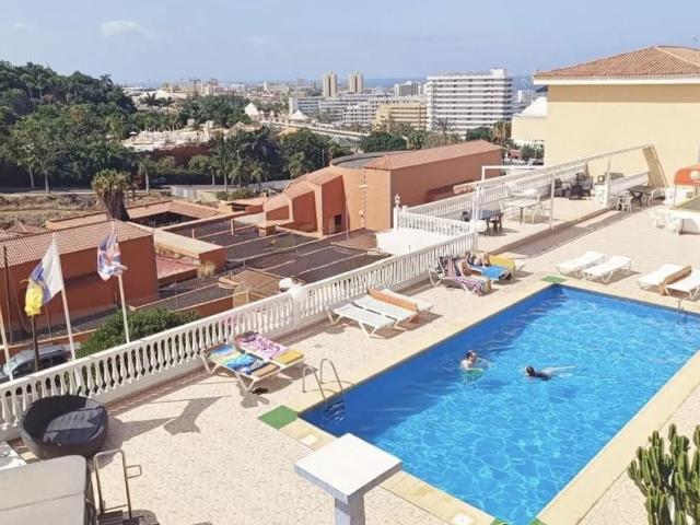 Se venden estudios de diferentes tamaños a partir de 40 m2. 42m² Adeje