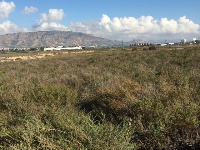 SE VENDEN PARCELAS EN ALHAMA DE MURCIA