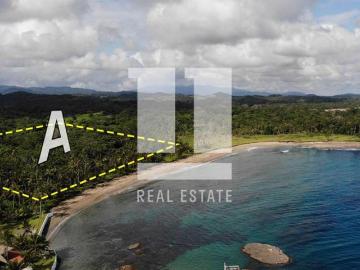 Se venden Terreno en Palenque, Colon 4 Hectáreas