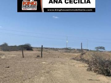 SE VENDEN TERRENOS EN TALARA