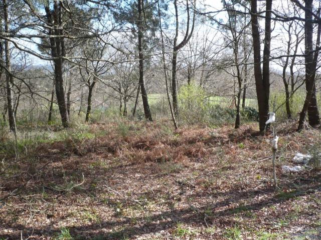 SE VENDE TERRENO EDIFICABLE EN BRANS DE ABAIXO BRIÓN