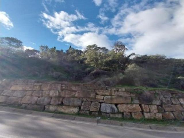 SE VENDEN VARIAS PARCELAS EN LA ZONA DE FOREST HILL