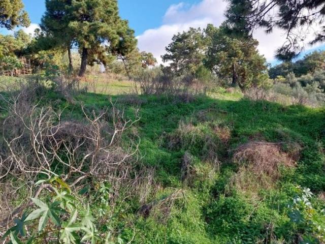 SE VENDEN VARIAS PARCELAS EN LA ZONA DE FOREST HILL