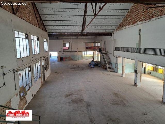 SE ALQUILA NAVE DIAFANA EN CARRUS ELCHE