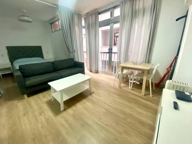 Se alquila acogedor estudio en la zona de Santa Catalina