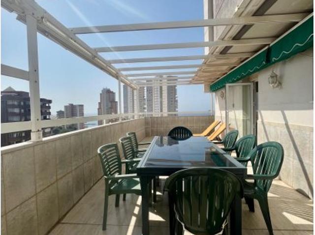 Se alquila apartamento de 3 habitaciones en Benidorm
