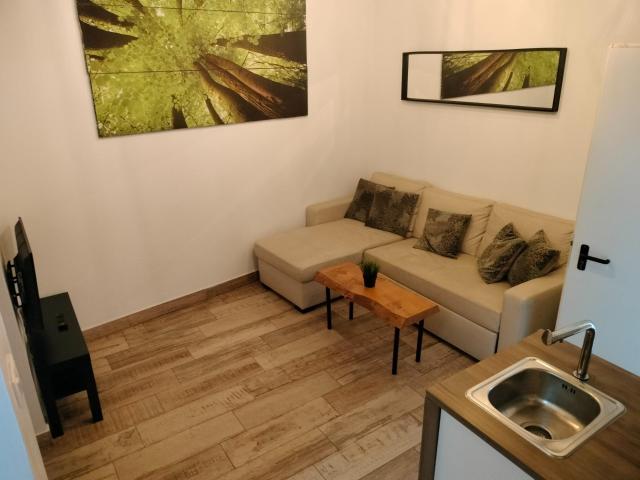SE ALQUILA APARTAMENTO EN CADIZ, ZONA ALAMEDA SAN ANTONIO  SOLO Y EXCLUSIVAMENTE PARA TEMPORADA ESCOLAR