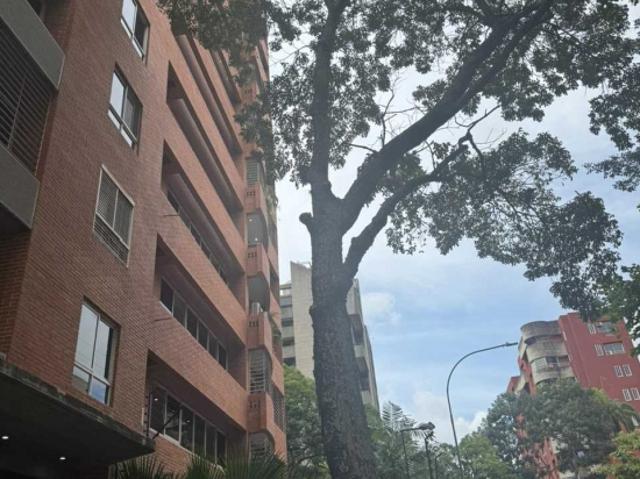 Se alquila apartamento 55m2 El Rosal 4312