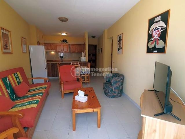 2 Bedroom apartment for rental in Playa La Arena