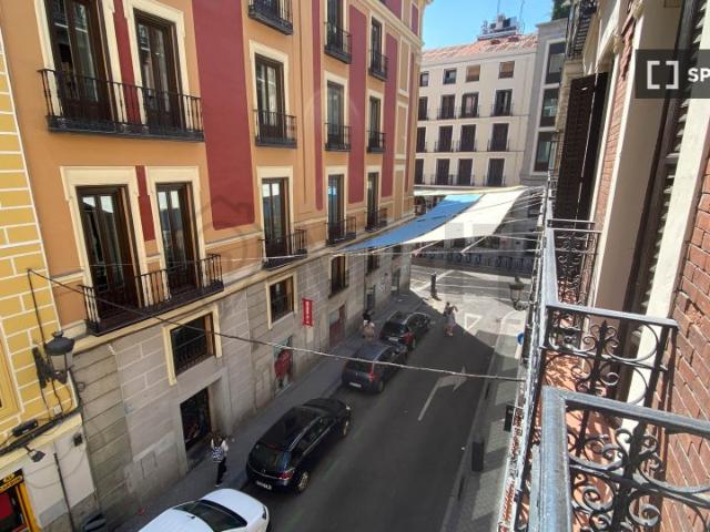 Se alquila habitación en Sol, Madrid