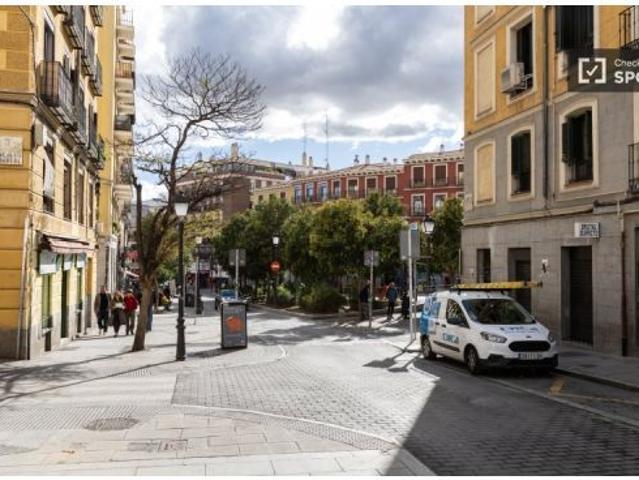 Se alquila habitación en piso compartido de 5 habitaciones en Embajadores, solo profesionales