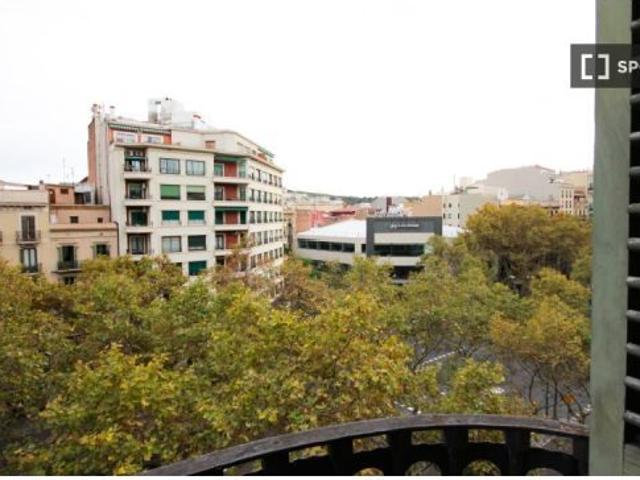 Se alquila habitación en piso compartido de 9 habitaciones en la Nova Esquerra de l' Eixampl