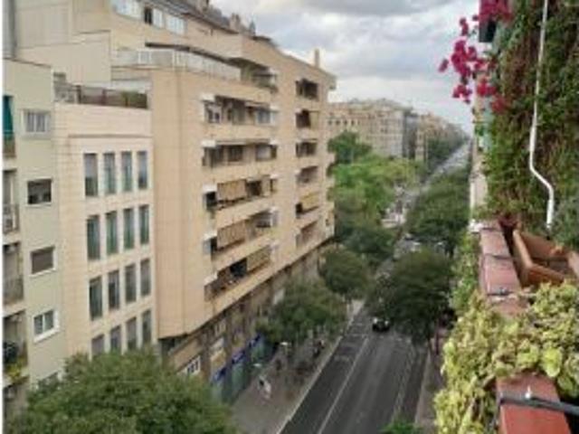 Se alquila habitación en piso compartido en l' Antiga Esquerra de l' Eixample