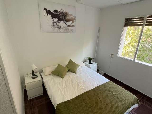 Se alquila habitación en piso de 5 habitaciones en Madrid