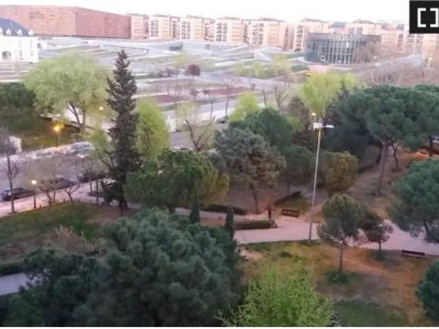 Se alquila habitación en piso de 2 habitaciones en Alcorcon, Alcorcon