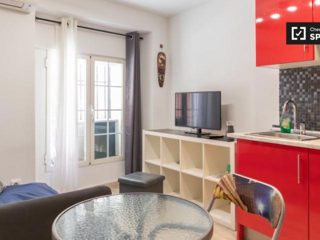 Piso de 1 dormitorio en Embajadores, Madrid